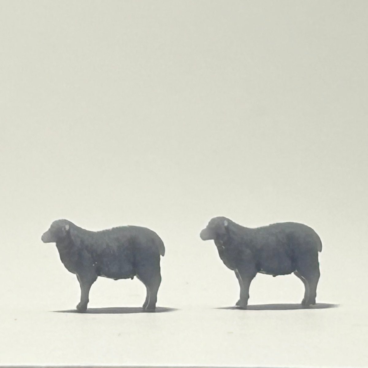 Schapen N schaal 1:160 set van 10 stuks - Modelspoor Architect