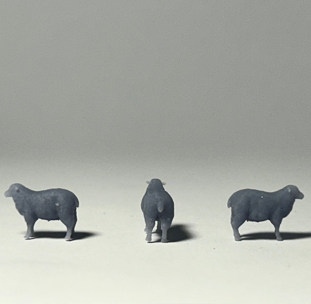 Schapen N schaal 1:160 set van 10 stuks - Modelspoor Architect